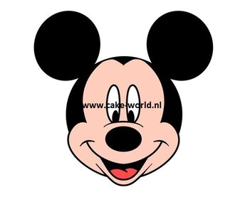 Mickey Mouse & Donald Duck