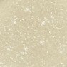 RD Edible Glitter, White