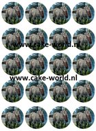 Dinosaurus cupcake print 20st