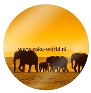 Olifant Taartprint