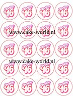 Sweet 16 cupcake print 3, 20st