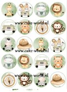 Jungle Safari Baby Cupcake Print