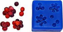 FI Molds Berries