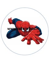 Spiderman taartprint