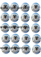 zeehond Cupcake Print 20st