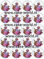 Sesamstraat Cupcake Print 20st