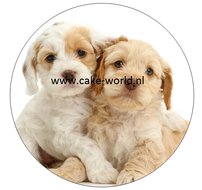 Puppy 1 taartprint rond