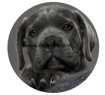 Puppy 2 taartprint rond