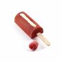 Silikomart Ice Cream Mini Chic Cake-popsicle 