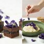 Decora Edible Flowers, Purple Mauve