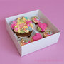Bento Combibox en 5 Cupcakes