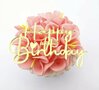 Front Cupcake Taarttopper Happy Birthday Goud, 3 stuks