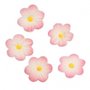 Culpitt Suikerdecoratie Daisy Pink