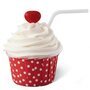 Wilton Cupcake Decorating Kit Sundae