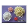 Alphabet Moulds Roses 4 in 1