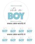 Babyshower Boy taart 15 cm en cupcake prints