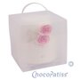 ChocoPatiss Taartdoos Kunststof 24x24x24cm met dubbele bodem,mat