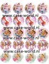 Winx 1 Cupcake Print 20st