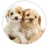 Puppy 1 taartprint rond