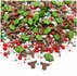 Happy Sprinkles Kerst Red Nose 90 gr