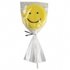 Wilton Clear Party Bags