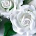 Renshaw Flower & Modelling Paste Wit 250g_
