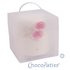 ChocoPatiss Taartdoos Kunststof 24x24x24cm met dubbele bodem,mat